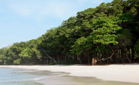 The Barefoot at Havelock