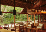 The Barefoot at Havelock