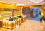 Hotel Golden Oasis Delhi