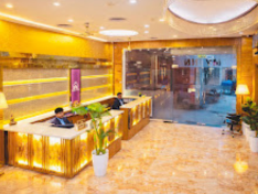 Hotel Golden Oasis Delhi