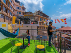 The Hosteller Shimla