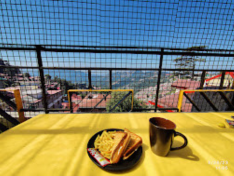The Hosteller Shimla