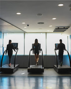 BodyZone Sector 9-C | Best Gym in Chandigarh