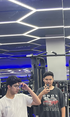 Pro Ultimate Gyms